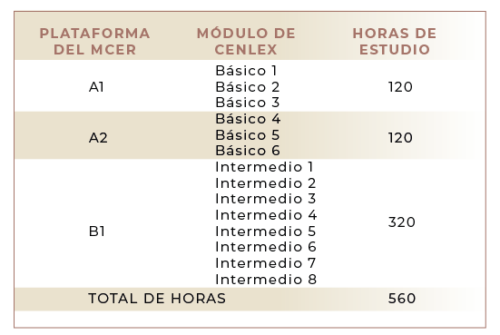 Programa Español